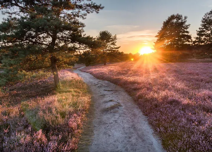 호텔 Amrath Lapershoek Arenapark 4*